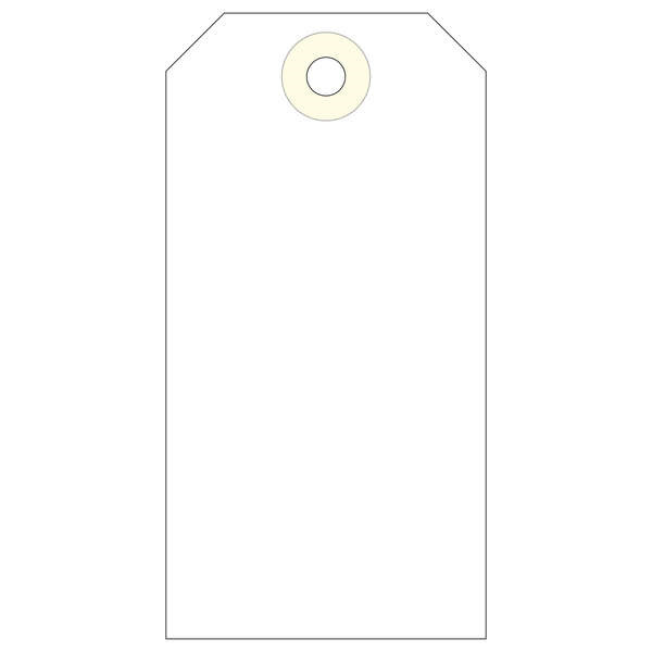 Apli Etiquetas con Arandela 100 x 51mm 1.000 U.