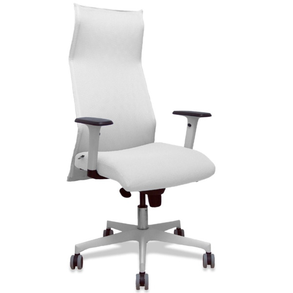 Sillón de oficina Sahuco (1)