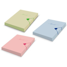 Bismark Carpeta para Proyectos A4 - Medidas 310x230x40mm - Fabricada en Polipropileno - Cierre con Goma - Colores Pastel Surtido