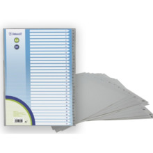 Bismark Indice Numerico con PestaÃ±as del 1 al 31 - Multitaladro - Formato A4 - Fabricados en Polipropileno - Color Gris