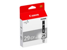 Canon PGI29 Gris Cartucho de Tinta Original - 4871B001