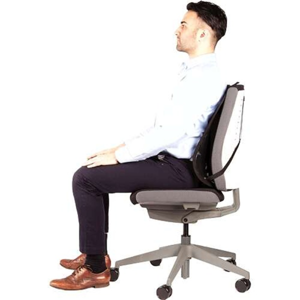Fellowes Mesh Office Suites Cojin Lumbar - Material de Malla - Ajustable a Cualquier Silla - Color Negro (3)