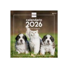 Finocam Calendario de Pared - Anual 2026 - Imagenes Variadas - 300x300mm - Espacio para Escribir - Tematica de Perros y Gatos