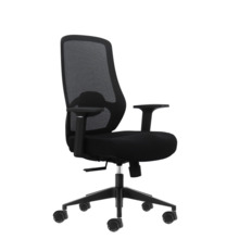 Oqonos Cherg 001 Silla de Oficina Ergonomica con Soporte Lumbar Ajustable en Altura y Profundidad, Respaldo de Malla Transpirabl