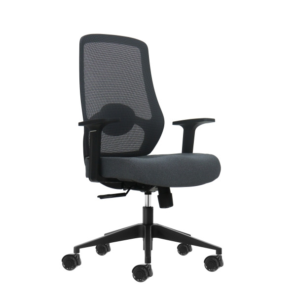 Oqonos Cherg 002 Silla de Oficina Ergonomica con Soporte Lumbar Ajustable en Altura y Profundidad, Respaldo de Malla Transpirabl