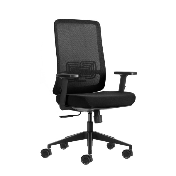Oqonos Cherg 017 Silla de Oficina Ergonomica con Tejido Impermeable, Mecanismo Autobalanceado, Soporte Lumbar Ajustable, Reposab