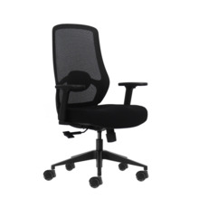 Oqonos Cherg 024 Silla de Oficina Ergonomica con Soporte Lumbar Ajustable en Altura y Profundidad, Reposabrazos 4D, Piston de Ga