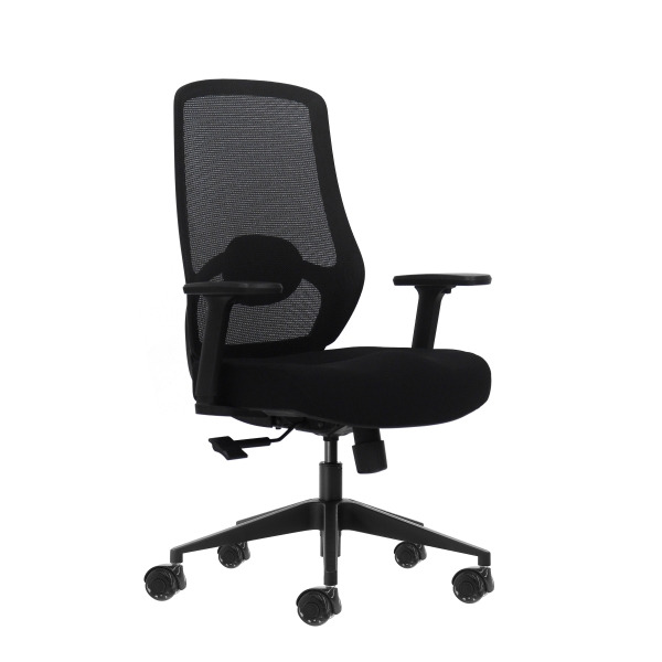 Oqonos Cherg 024 Silla de Oficina Ergonomica con Soporte Lumbar Ajustable en Altura y Profundidad, Reposabrazos 4D, Piston de Ga