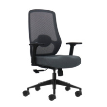 Oqonos Cherg 025 Silla de Oficina Ergonomica con Soporte Lumbar Ajustable en Altura y Profundidad, Reposabrazos 4D, Piston de Ga