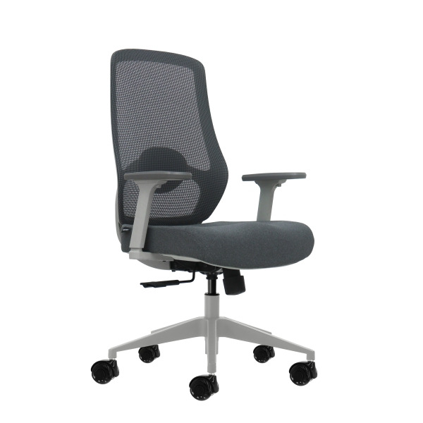 Oqonos Cherg 026 Silla de Oficina Ergonomica con Soporte Lumbar Ajustable en Altura y Profundidad, Reposabrazos 4D, Piston de Ga