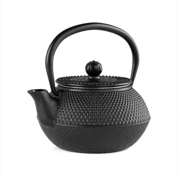 Orbegozo TTH Tetera Tetsubin 300ml - Diseño Tradicional Japones - Interior Esmaltado - Filtro de Acero Inoxidable - Apta para T