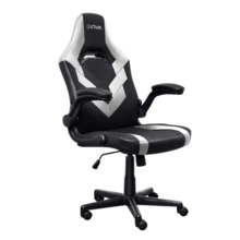 Trust GXT 703W Riye Silla Gaming - Reposabrazos - Ruedas de Nylon - Piston de Gas Clase 4 - Base Metal - Peso Max. 140Kg - Color